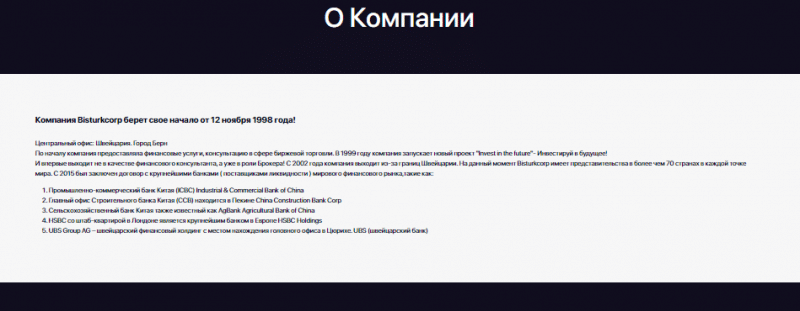 Полный обзор брокера BisturkCorp