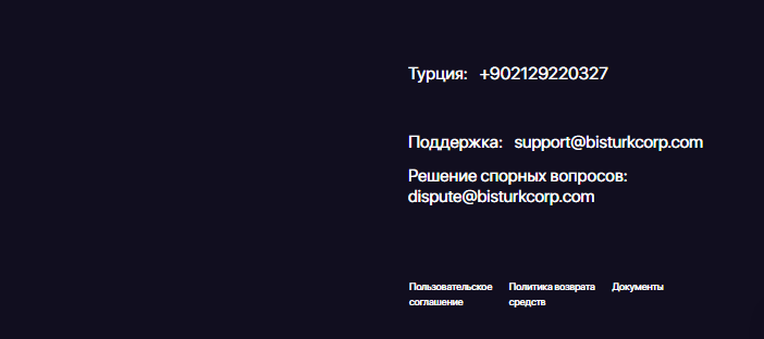 Полный обзор брокера BisturkCorp