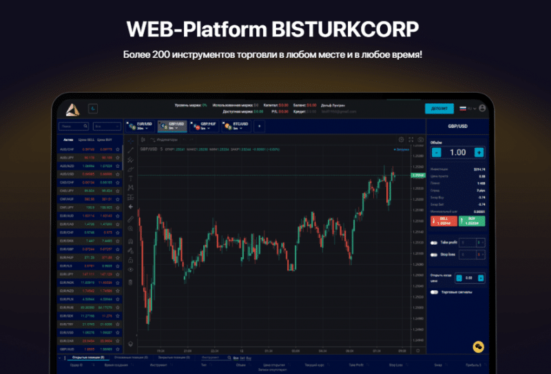 Полный обзор брокера BisturkCorp